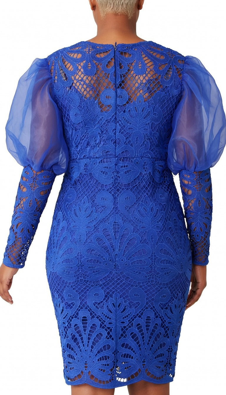 back_view